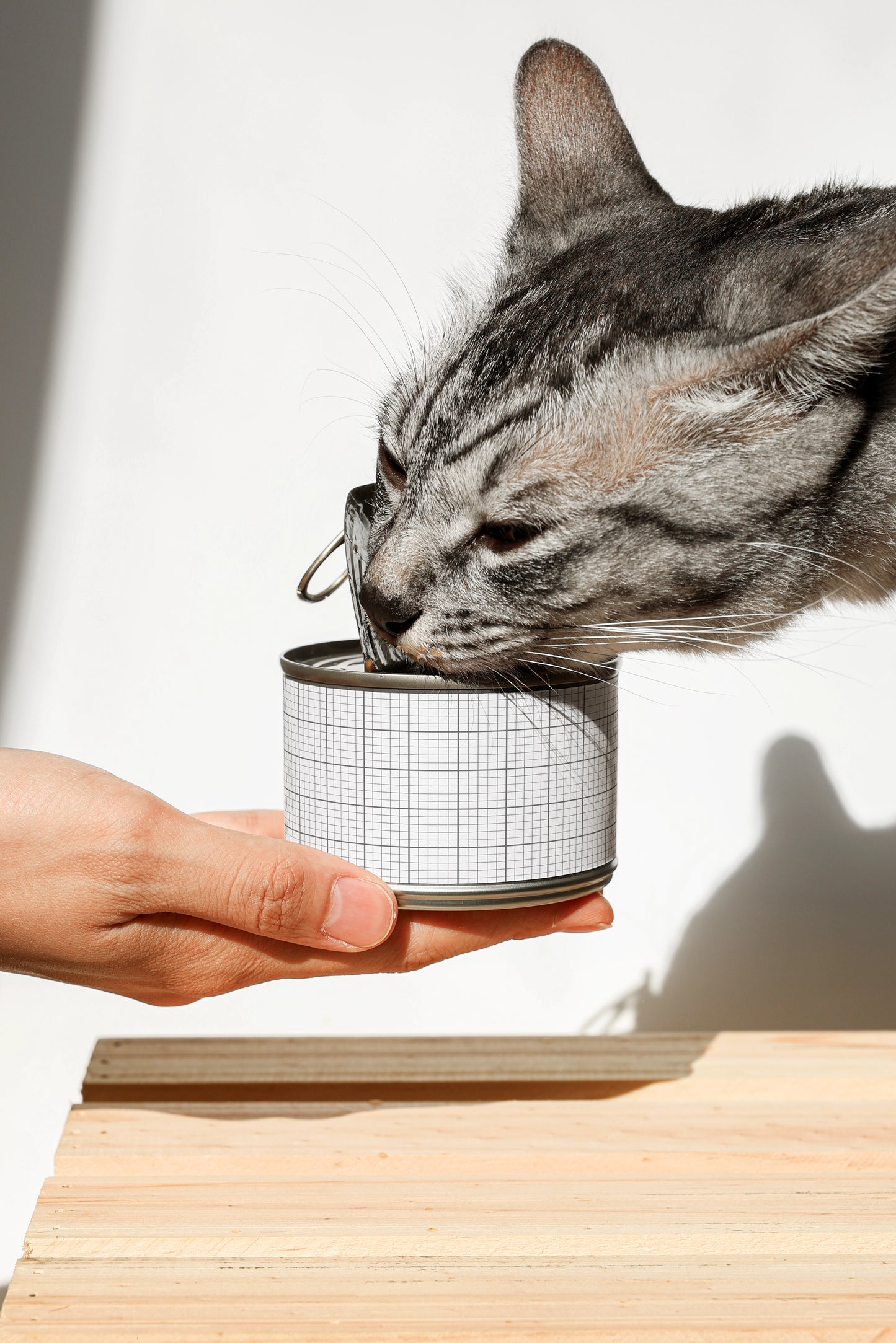 Cat Food Jar Mockup PF04
