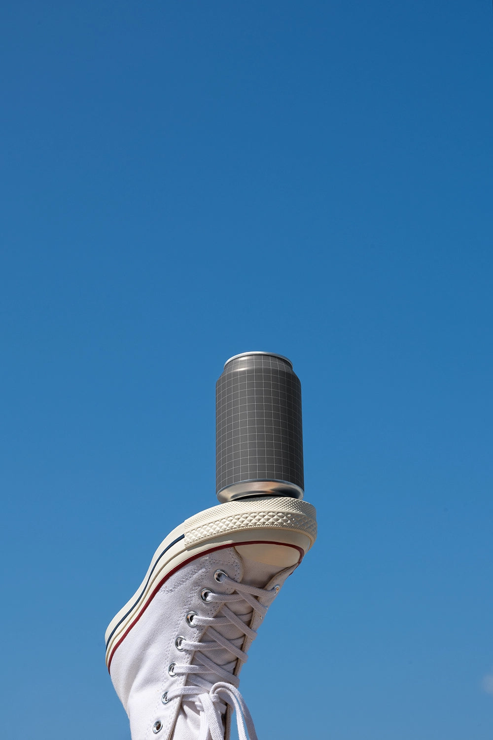 Soda Can Mockup ENS20