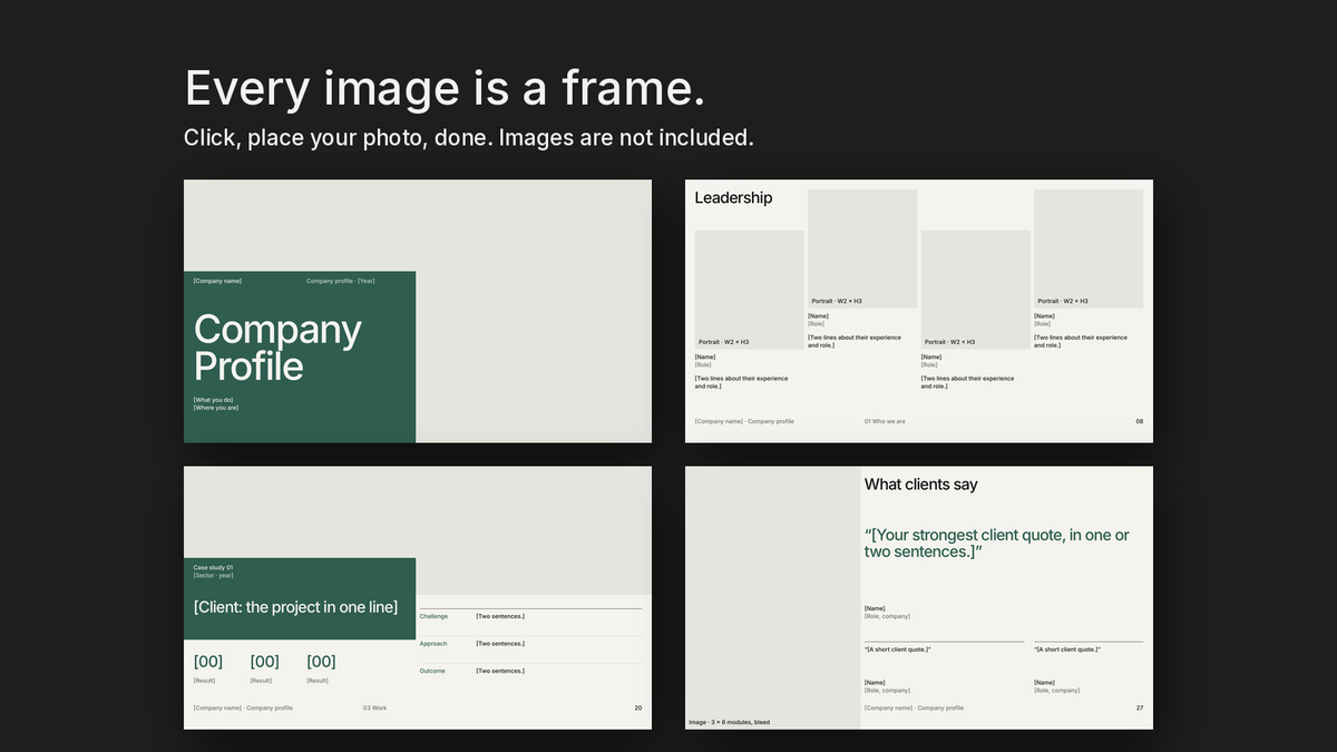 Empty image frames in the editable files