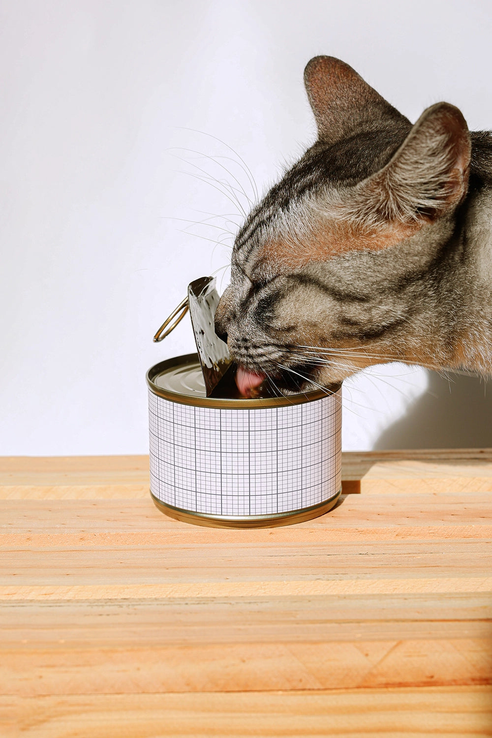 Mockup of a tin cat food can by Mockup.Asia with a label featuring feline nutrition and product branding.