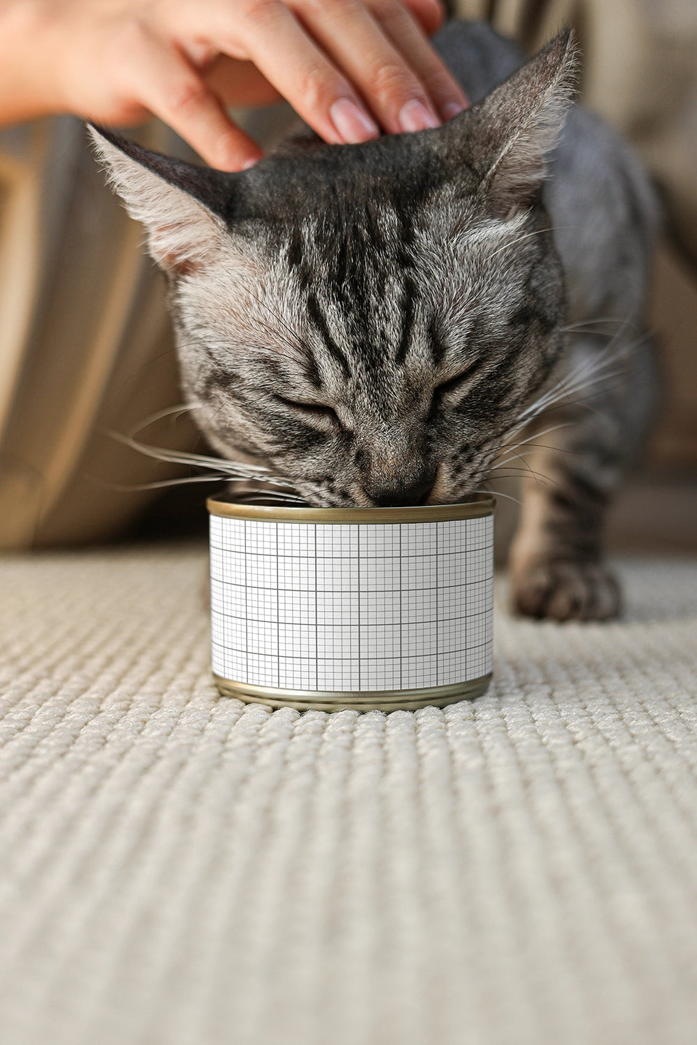cat food packaging mockup with metal can and natural indoor setting