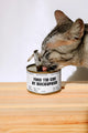 Cat Food Jar Mockup PF01