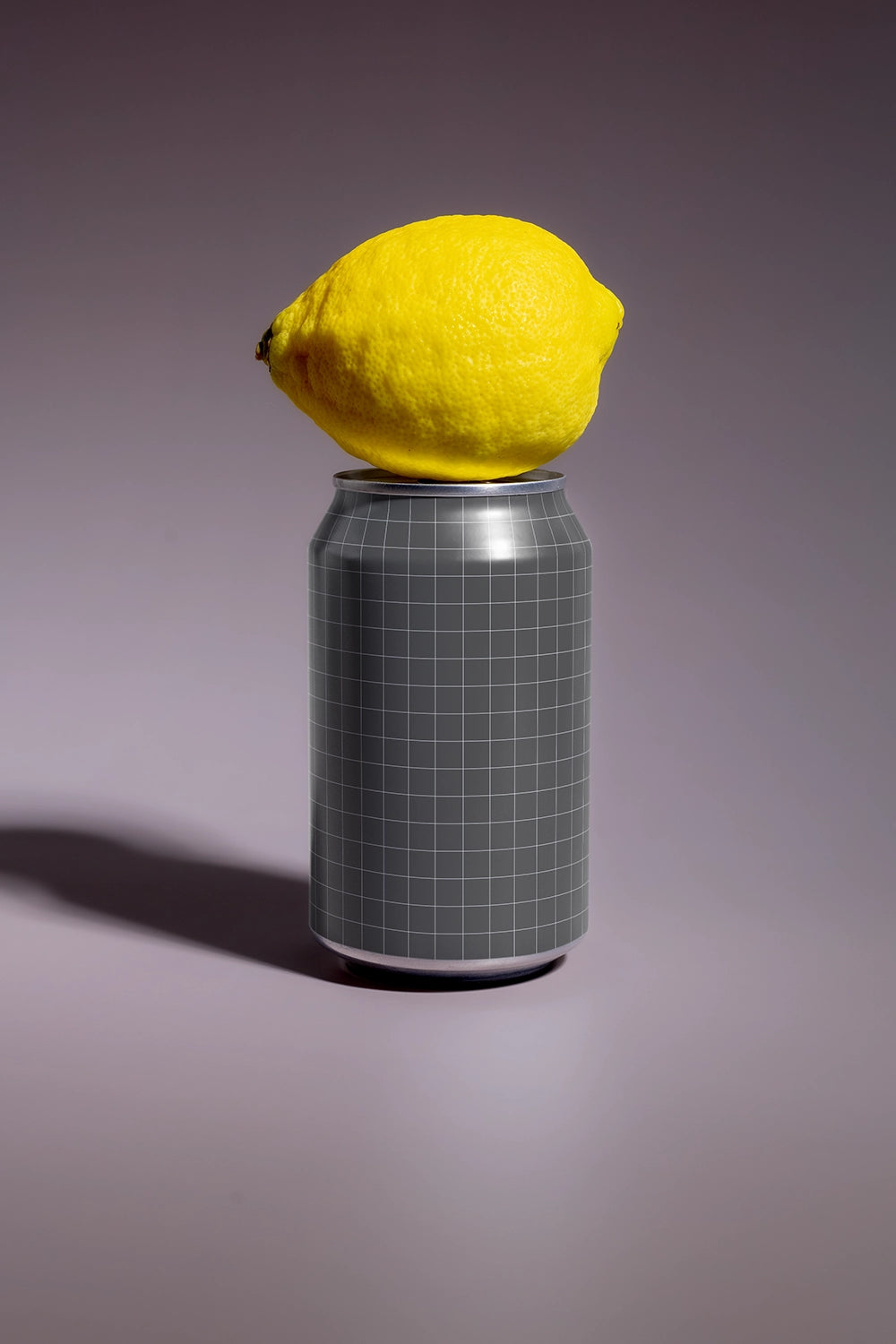 Soda Can Mockup ENS04