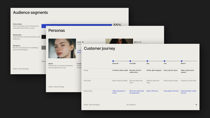 Module 8 Brand Strategy Vol 1 — audience