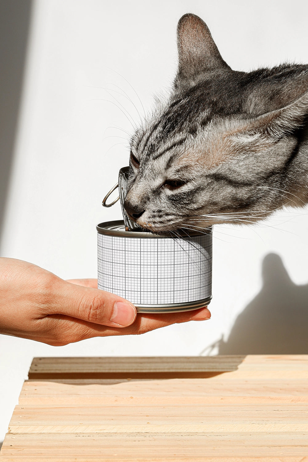 metal tin can mockup for pet food with cat usage and clean minimal background